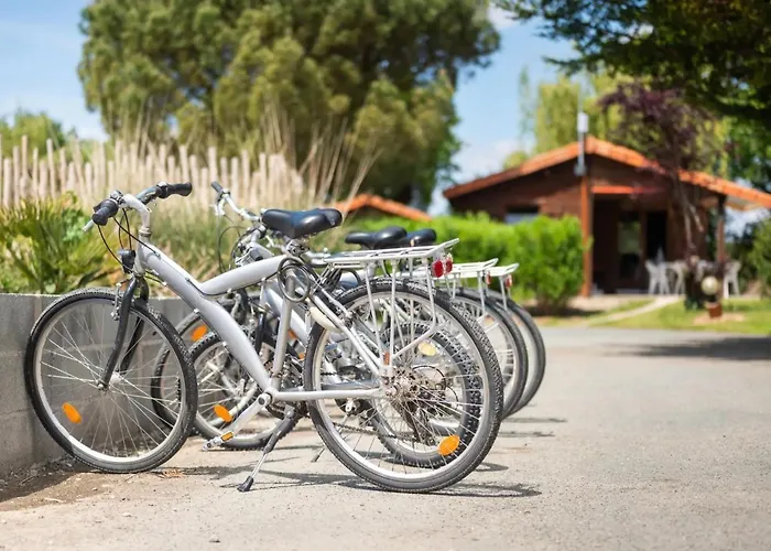 Confort 12 Kamp alanı